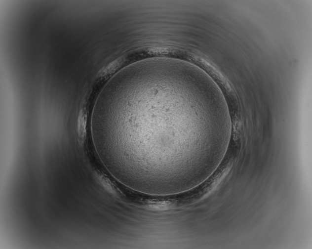 X0000087670454200705111201