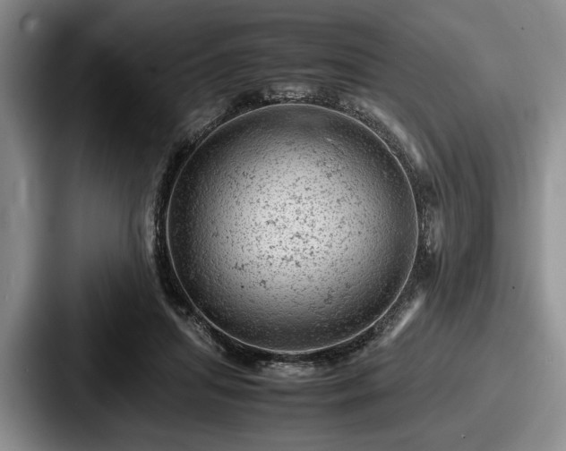 X0000087670455200705111201