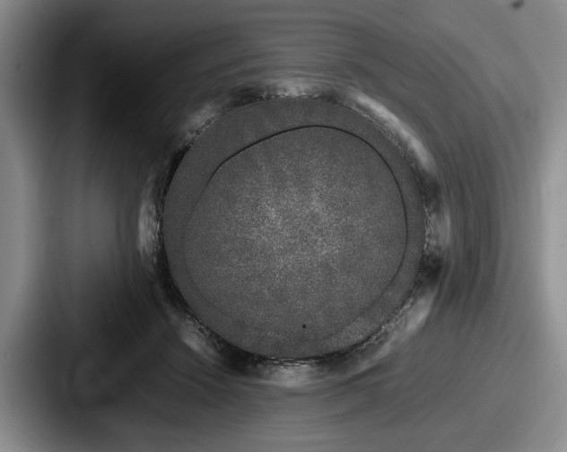 X0000087670456200705111201