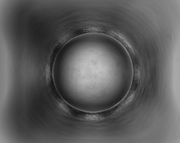 X0000087670457200705111201