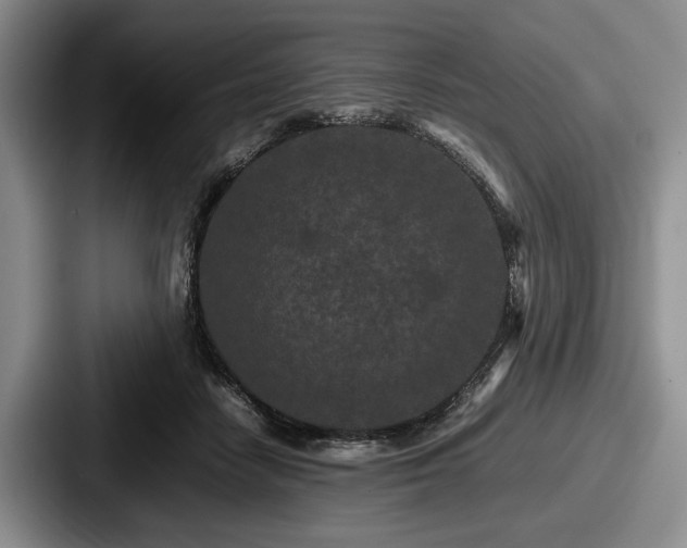 X0000087670458200705111201