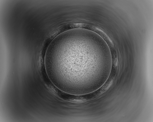 X0000087670459200705111201