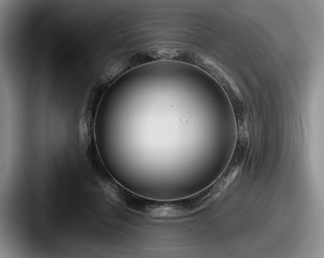 X0000087670460200705111201