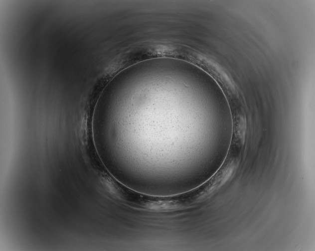 X0000087670461200705111201