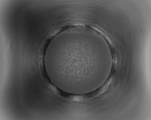 X0000087670462200705111201