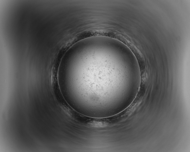 X0000087670464200705111201