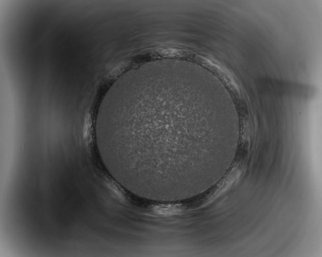 X0000087670465200705111201