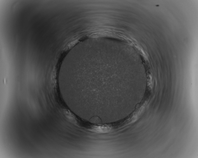 X0000087670466200705111201