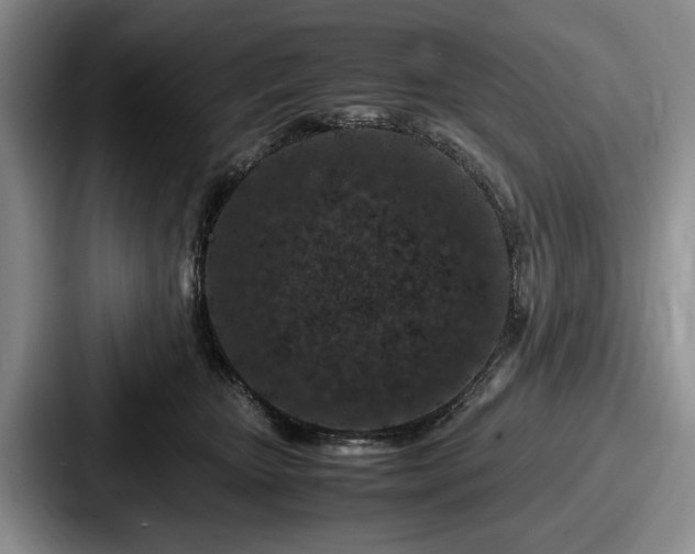 X0000087670467200705111201