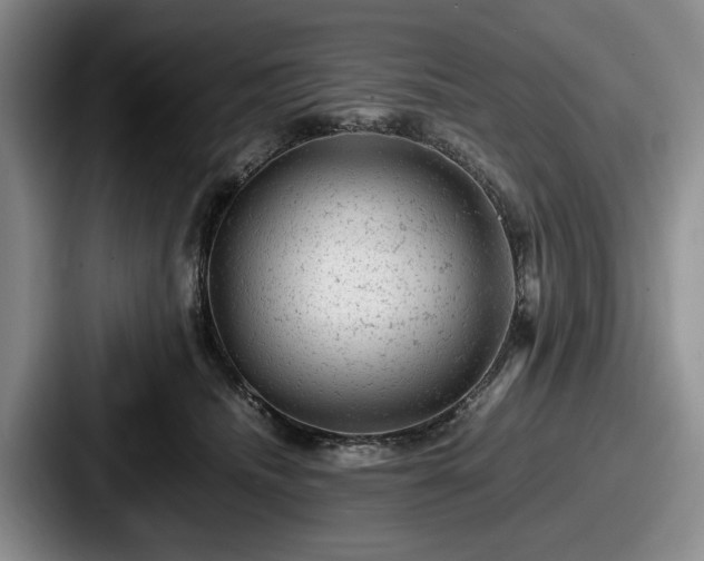 X0000087670468200705111201