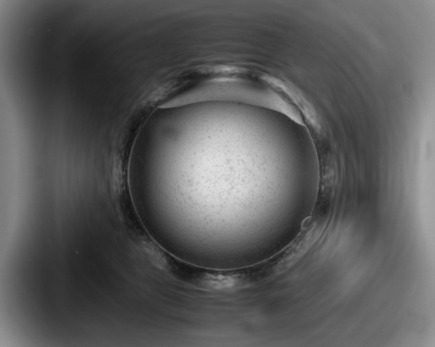 X0000087670469200705111201