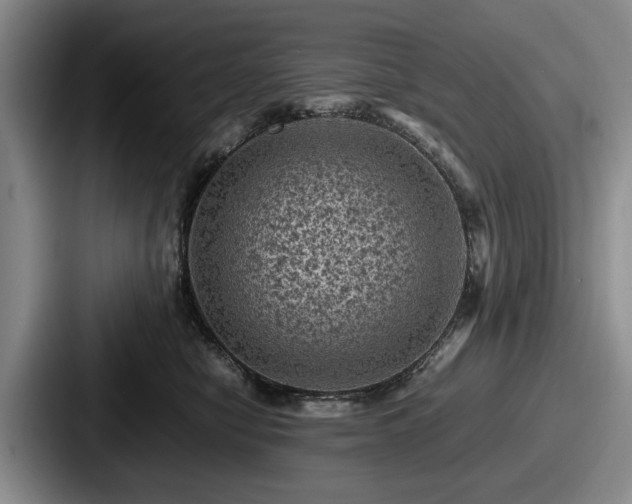 X0000087670470200705111201