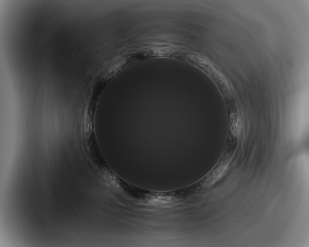 X0000087670471200705111201