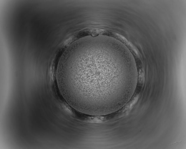 X0000087670474200705111201