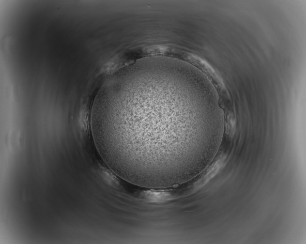 X0000087670477200705111201