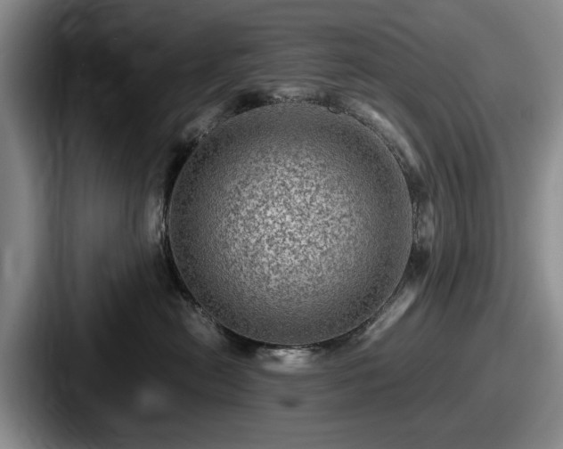 X0000087670478200705111201