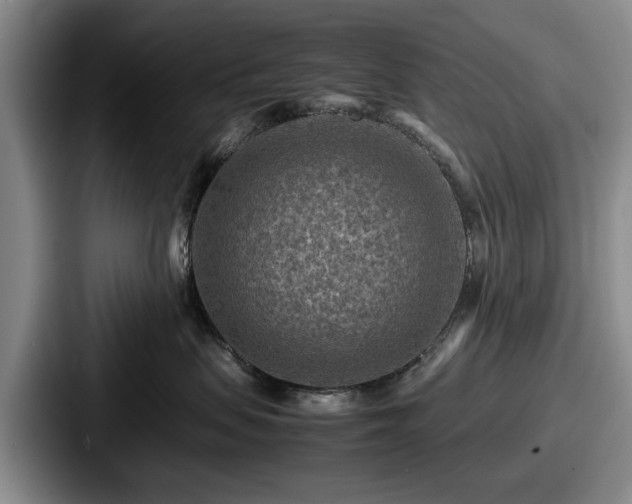 X0000087670479200705111201