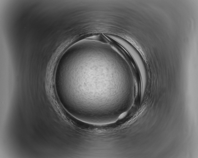 X0000087670481200705111200