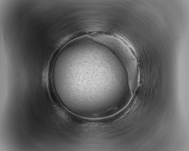 X0000087670482200705111200