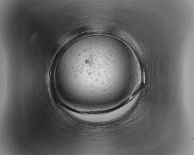 X0000087670483200705111200