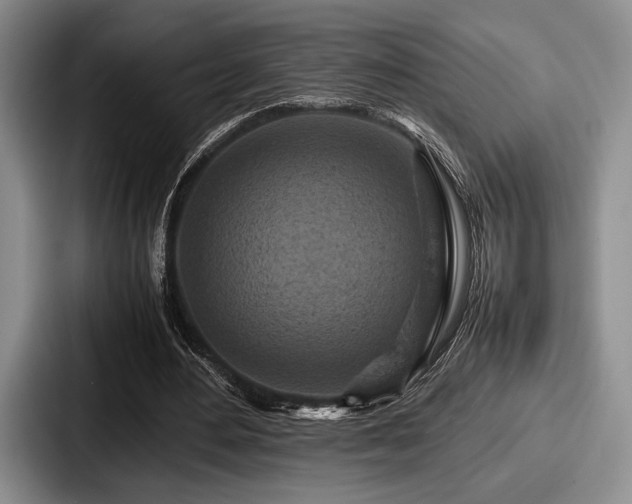 X0000087670484200705111200