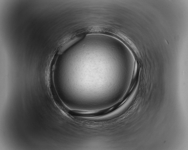 X0000087670485200705111200