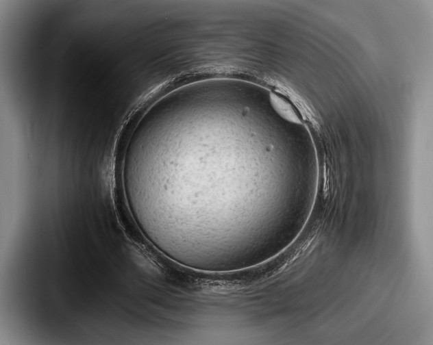 X0000087670486200705111200