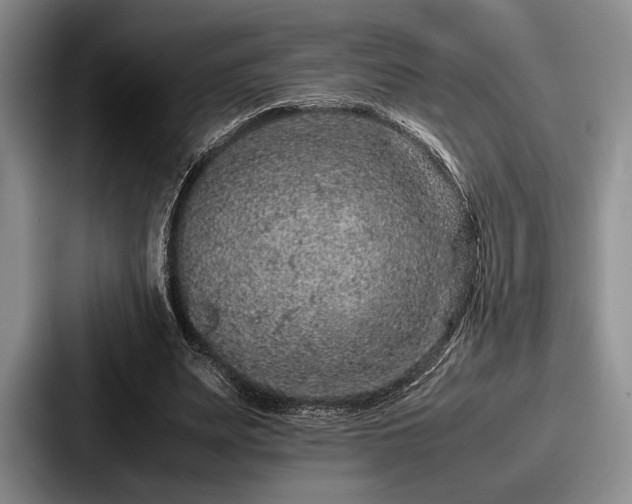 X0000087670487200705111200