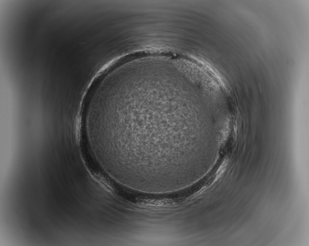 X0000087670488200705111200