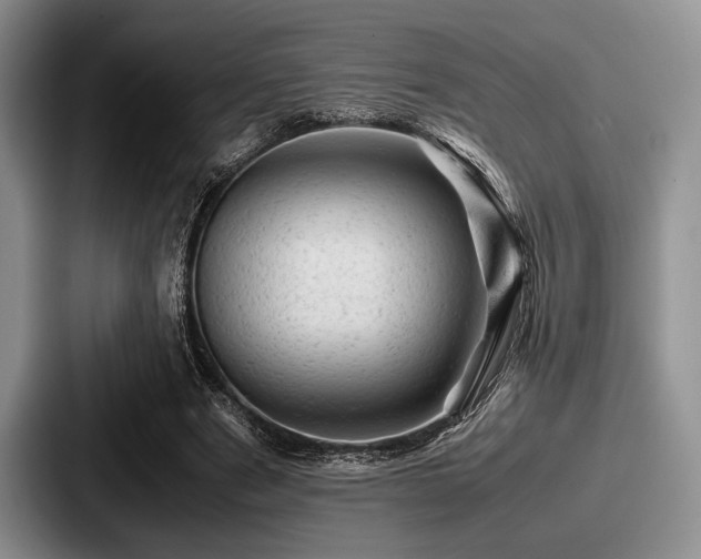 X0000087670489200705111200