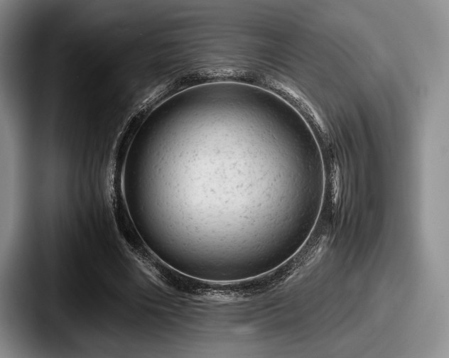 X0000087670490200705111200