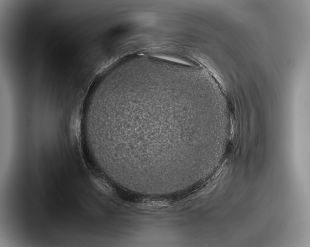 X0000087670491200705111200