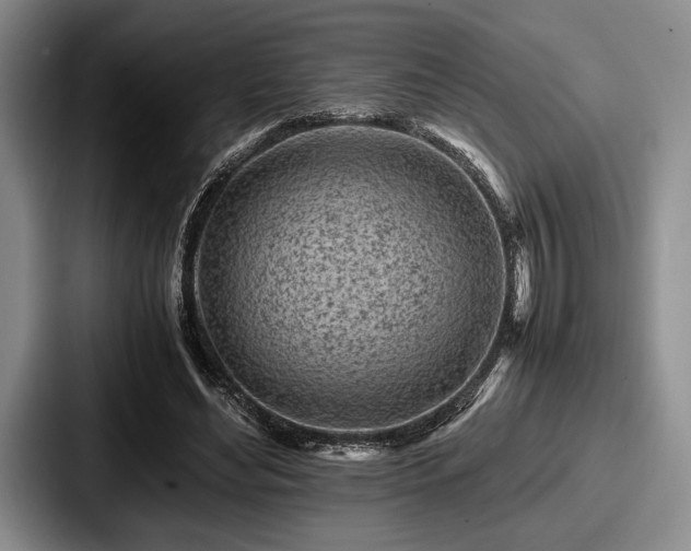 X0000087670492200705111200