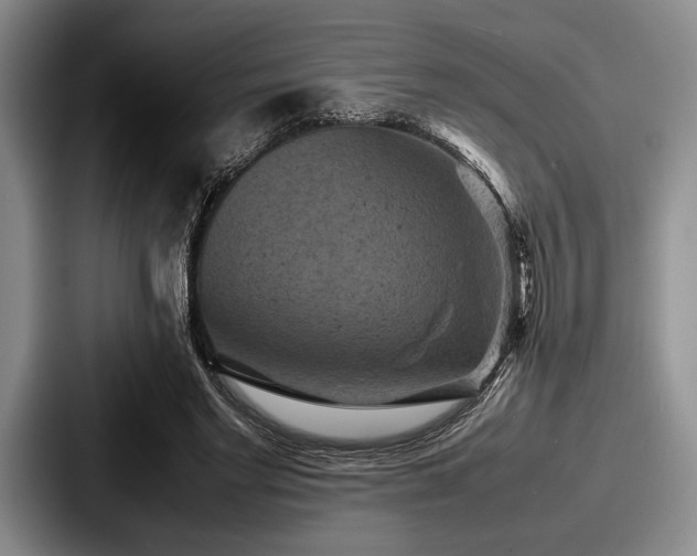 X0000087670493200705111200