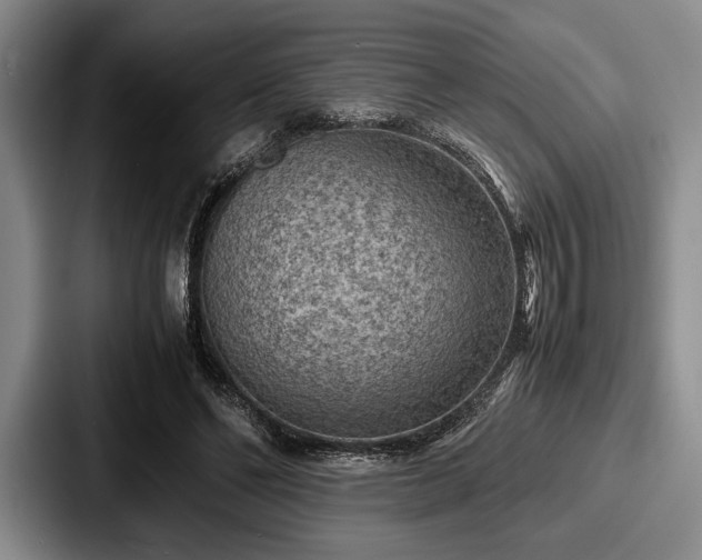 X0000087670494200705111200