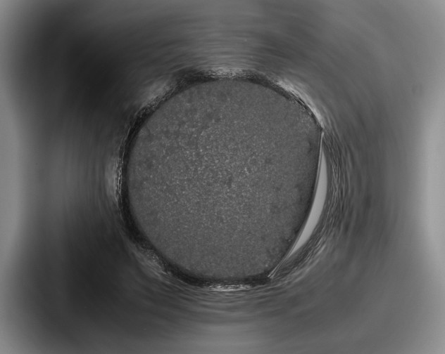 X0000087670495200705111200