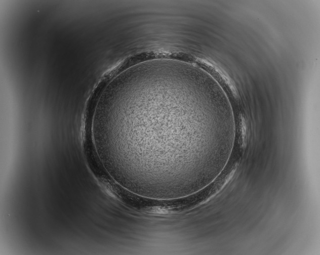 X0000087670496200705111200