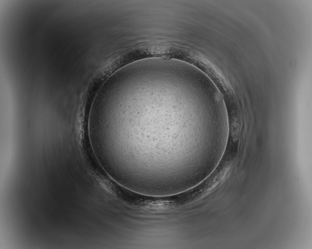 X0000087670497200705111200