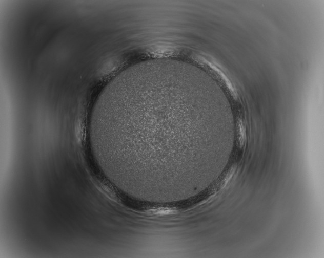 X0000087670499200705111200