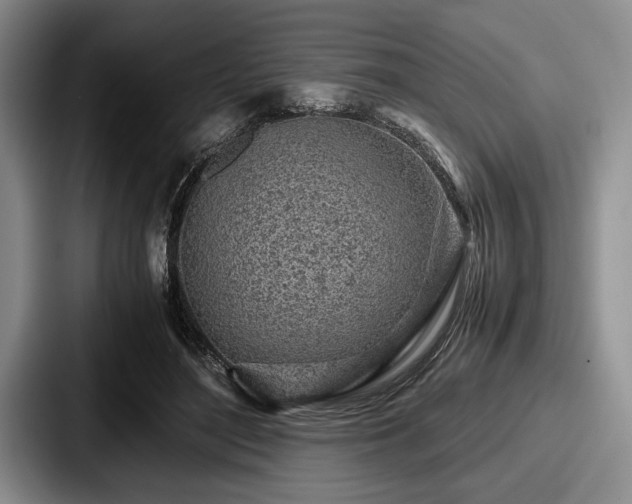 X0000087670500200705111200