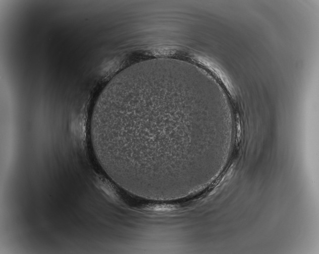 X0000087670501200705111200