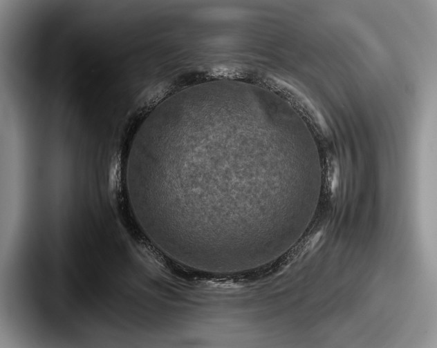 X0000087670502200705111200