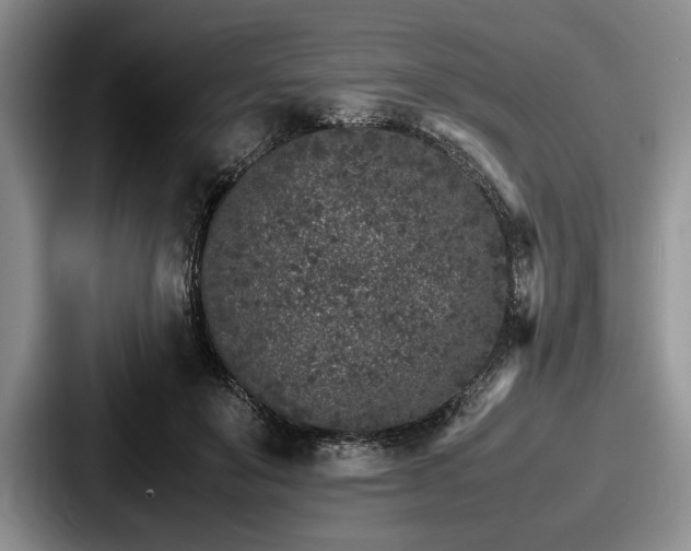 X0000087670503200705111200