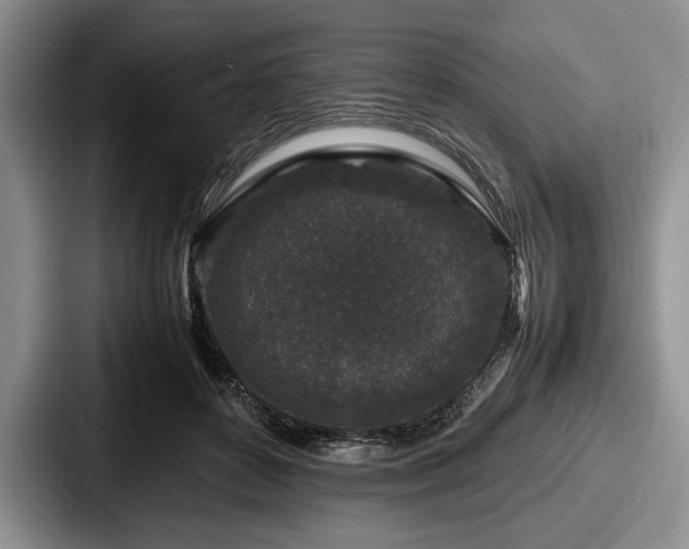 X0000087670504200705111200