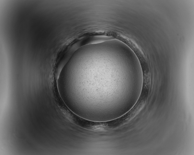 X0000087670505200705111200