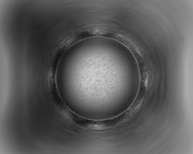 X0000087670506200705111200