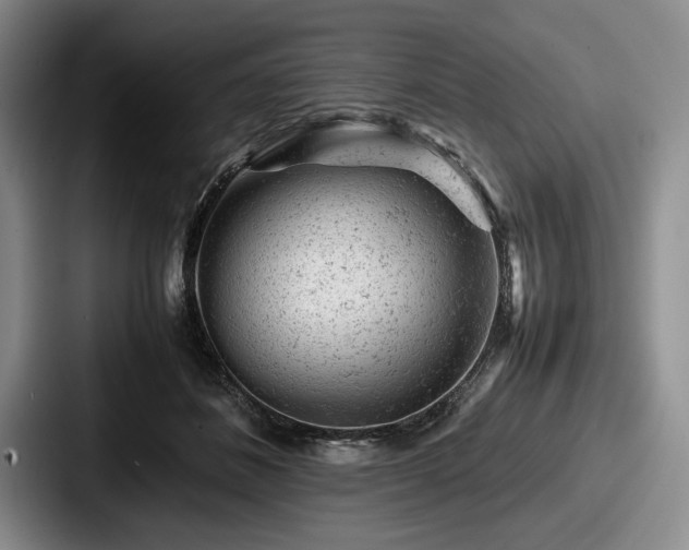 X0000087670508200705111200