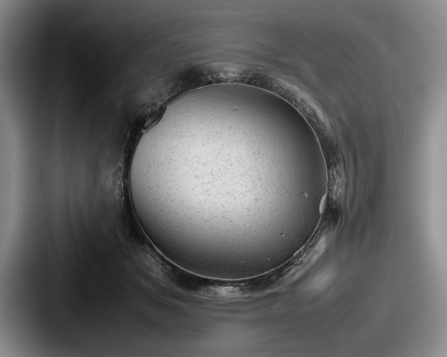 X0000087670509200705111200