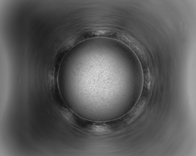 X0000087670510200705111200