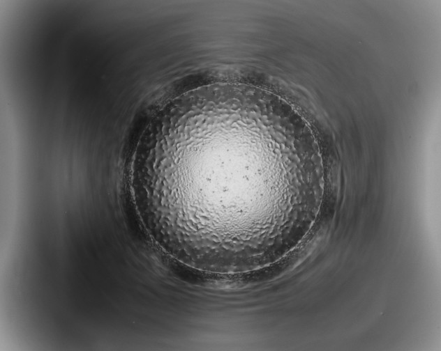 X0000087670511200705111200